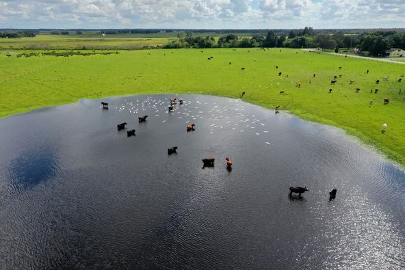 West Lake Wales Industrial acreage: 235 W Lake Wales Rd S, Lake Wales, FL 33859